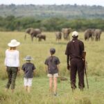 Best Safari Destinations in Tanzania